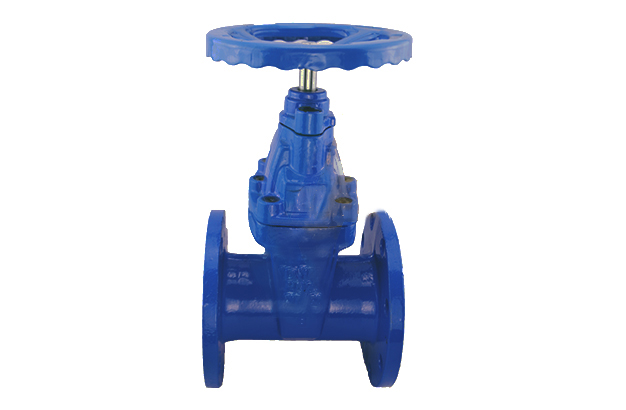 PN25 BS5163 Resilient Gate Valve